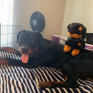 Meet your Posher, Ron